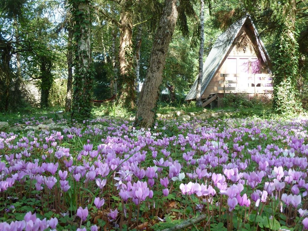 La Rossignolerie - Cabane Aux Oiseaux Chouzy-sur-Cisse المظهر الخارجي الصورة