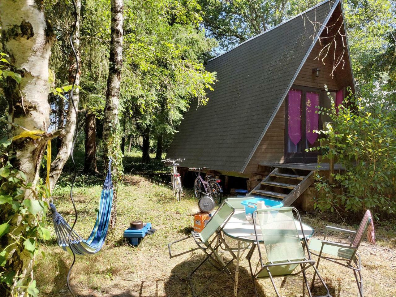 La Rossignolerie - Cabane Aux Oiseaux Chouzy-sur-Cisse المظهر الخارجي الصورة